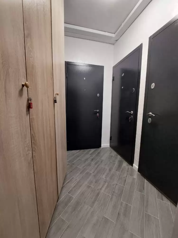 5336936636027626538