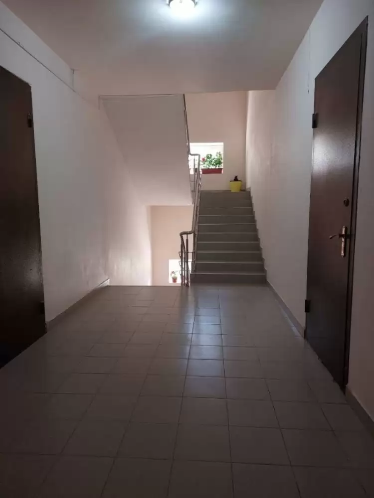 5336936636027626534