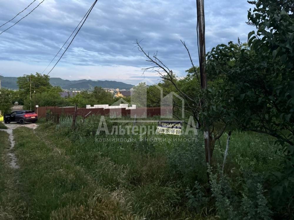 d337db29-86b5-49ca-ad96-99240d1f3263