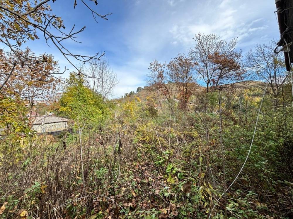 df06e6c7-8edd-4f5e-9162-3c0853e5cbca