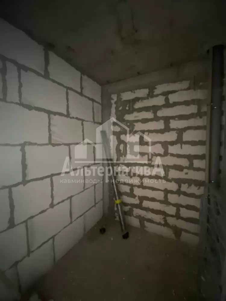 photo1681288716 (4)