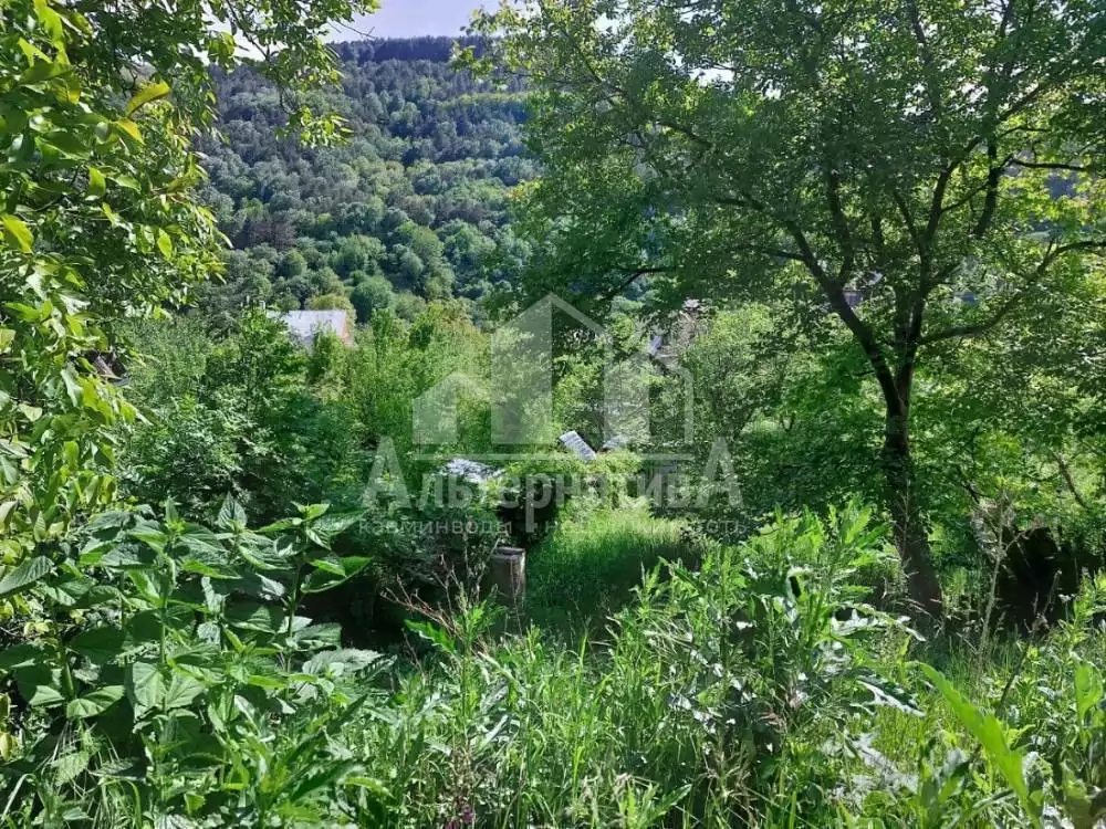 photo1720861498 (1)