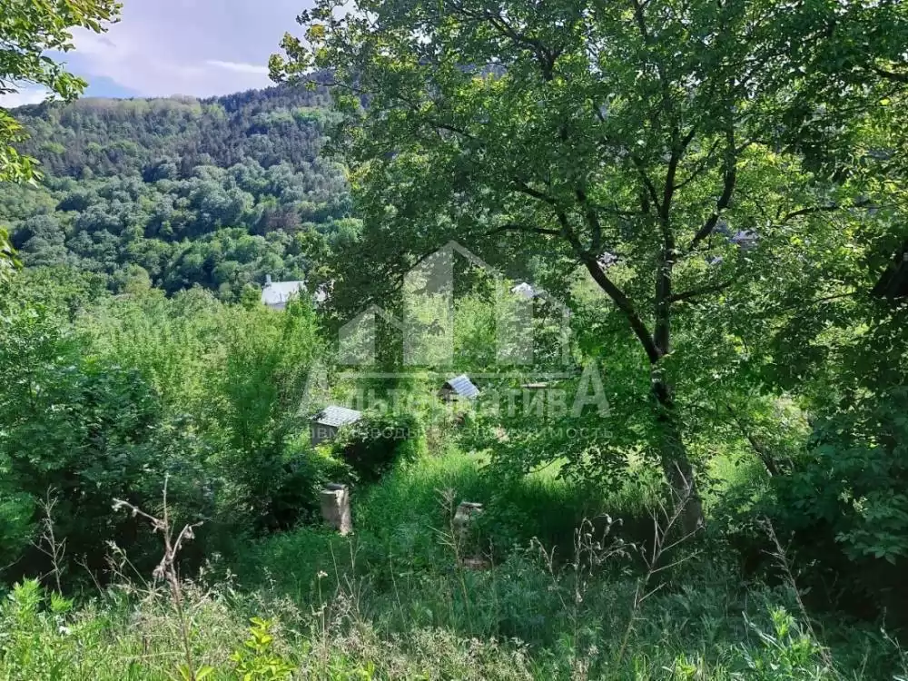 photo1720861498