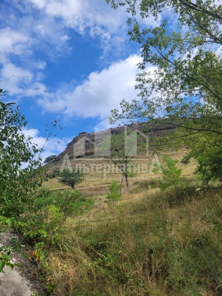 b493a1e2-9327-43b3-86a5-fff90fb5834e_10_11zon