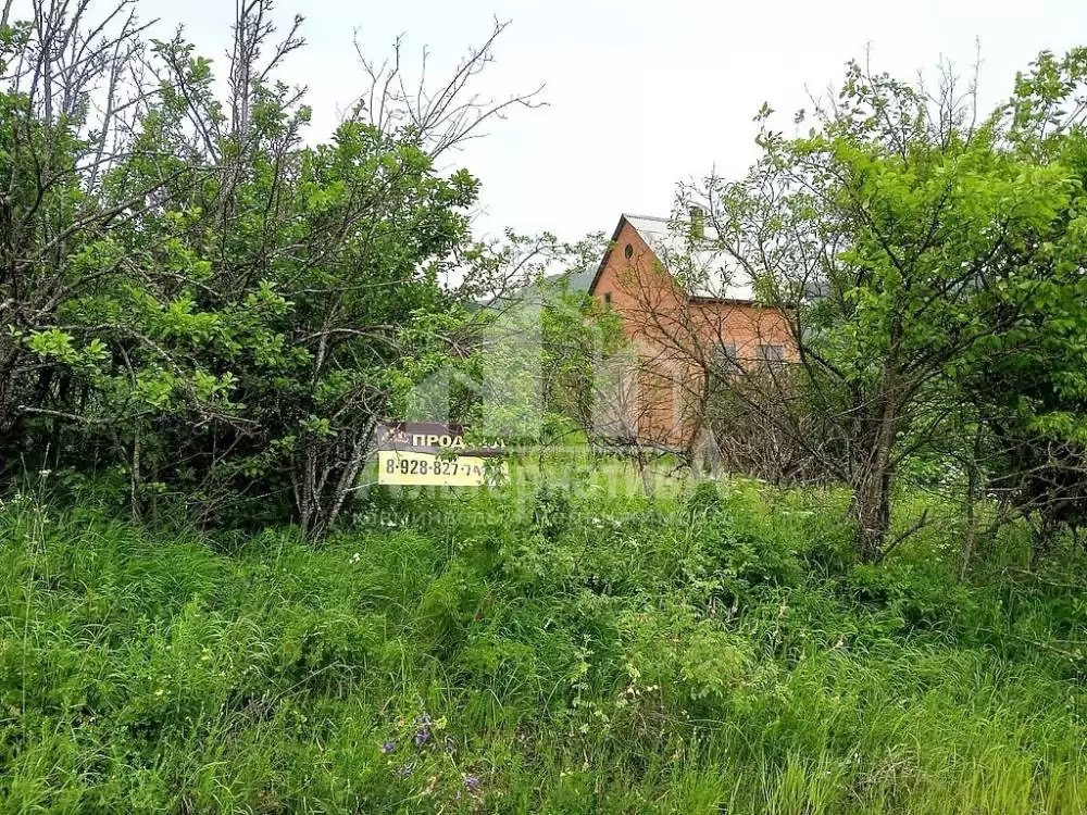 участок