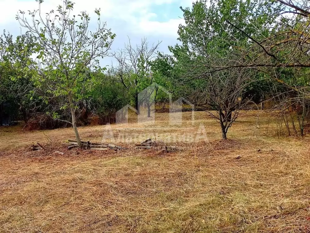 участок
