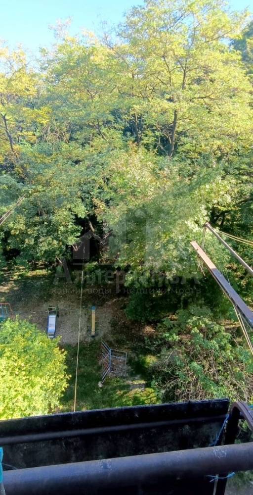 1b54cae1-87d8-4a60-8446-79bee433809c