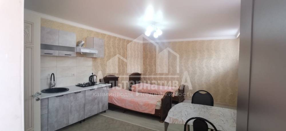 Ставропольский край, Ессентуки, ст. Ессентукская, Этокская ул.; Квартира 28м² 1/1 эт.