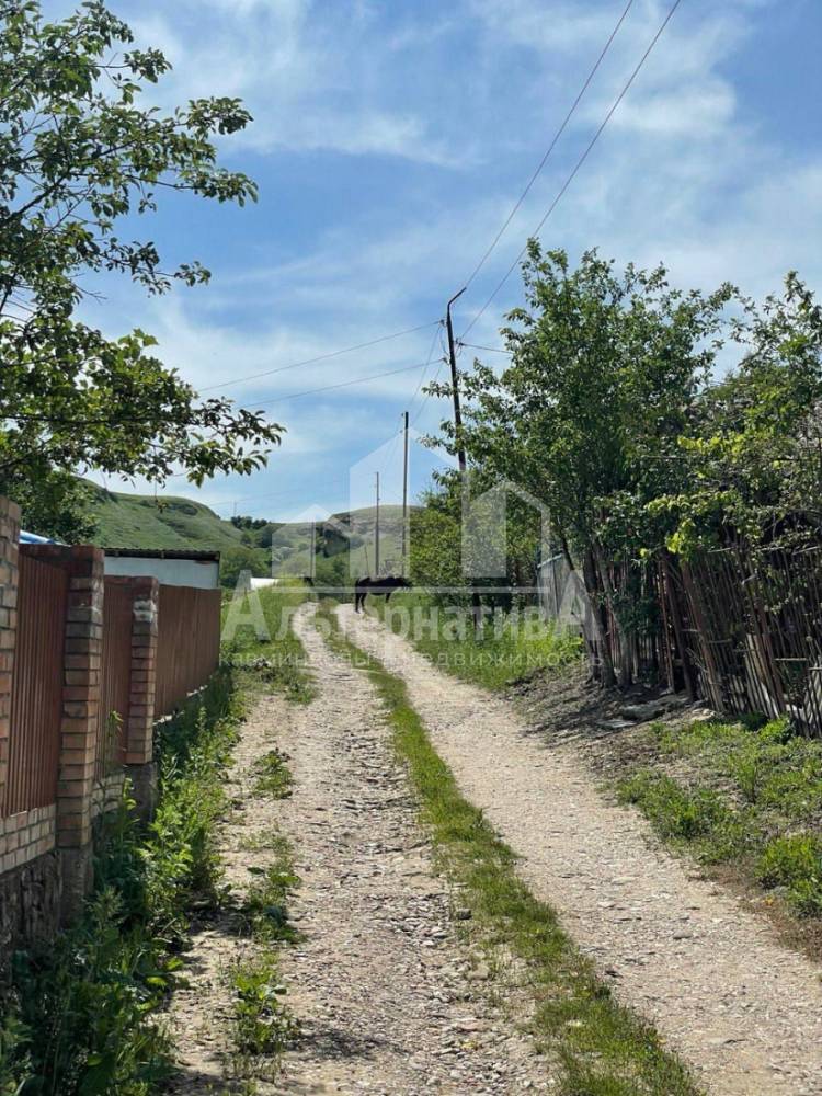 дорога к участку