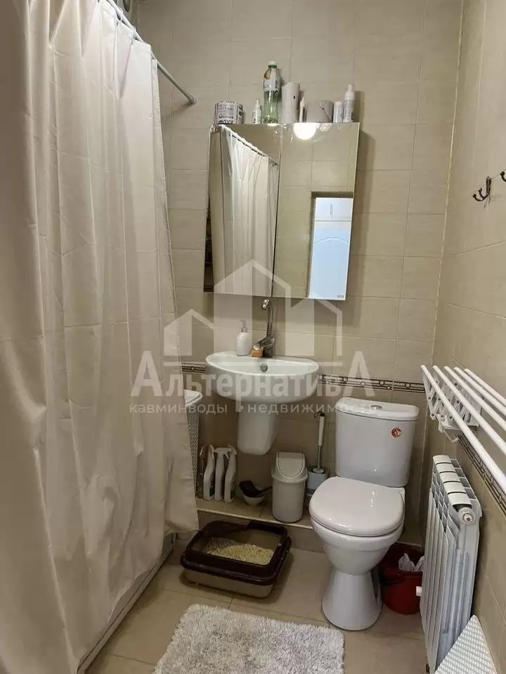 photo_5366100675148247802_y