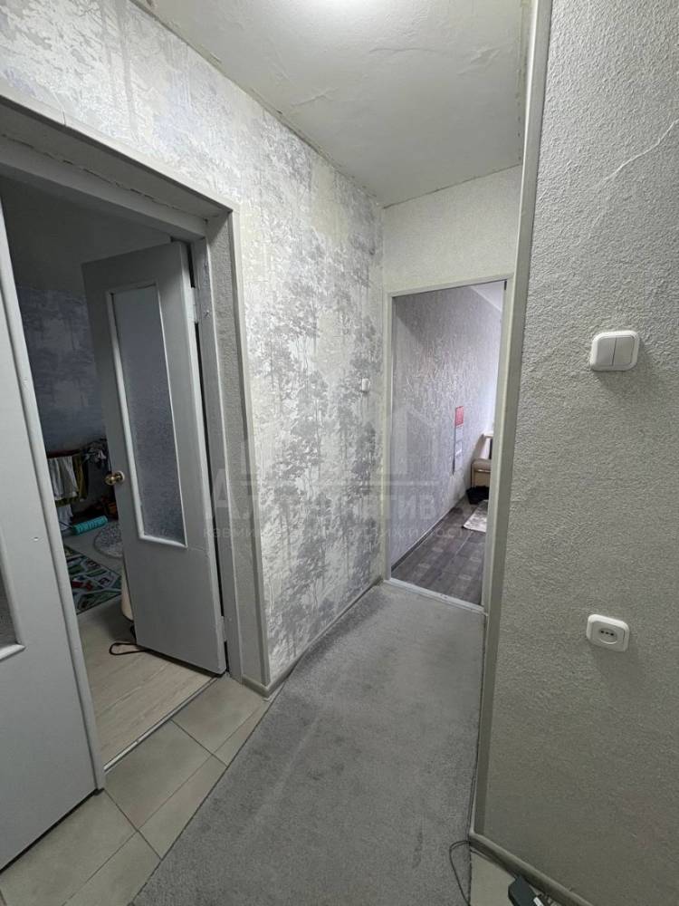 photo_5271850997980534500_y