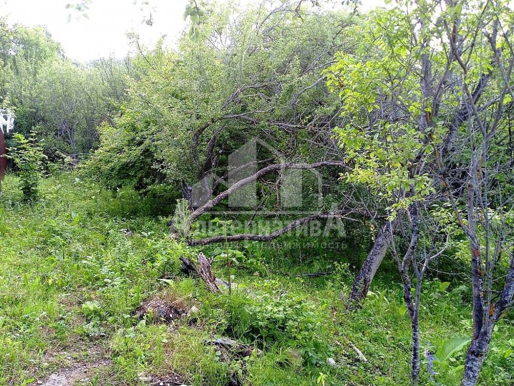 участок