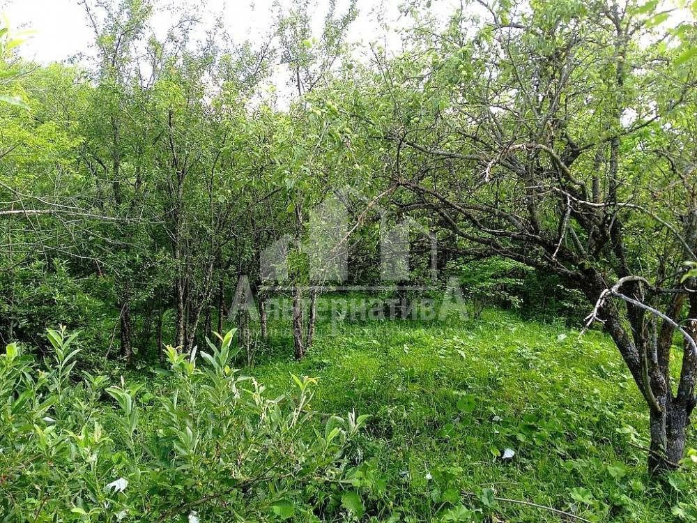 участок