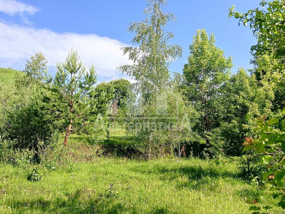 участок