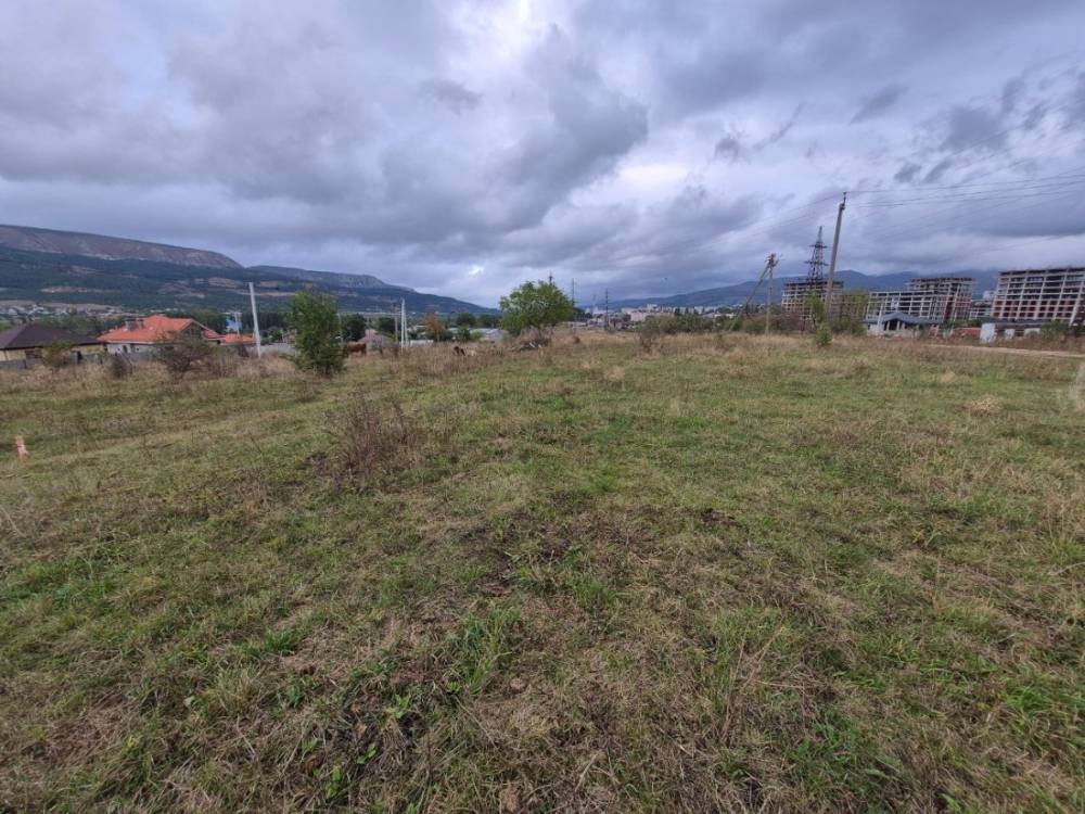 photo_5361664991838731015_y