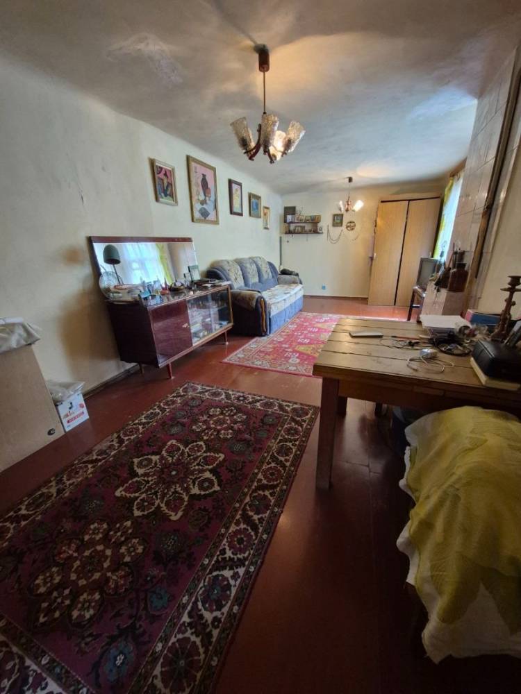 photo_5343529239028299899_y (1)