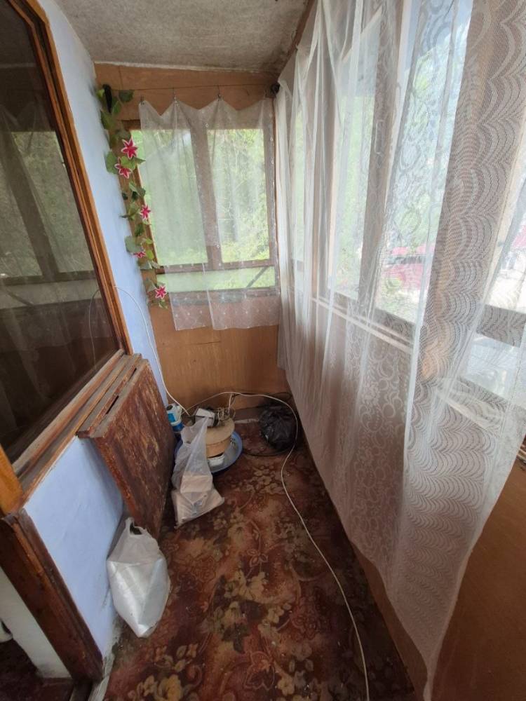 photo_5341277439214614527_y (1)