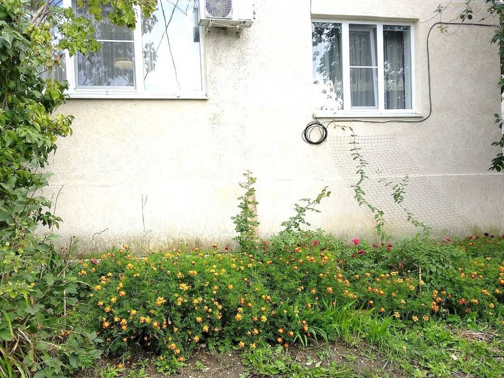 участок