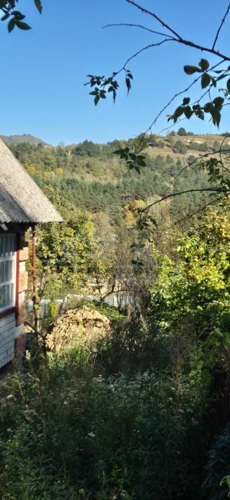 whatsapp image 2025-10-09 at 12.51.44