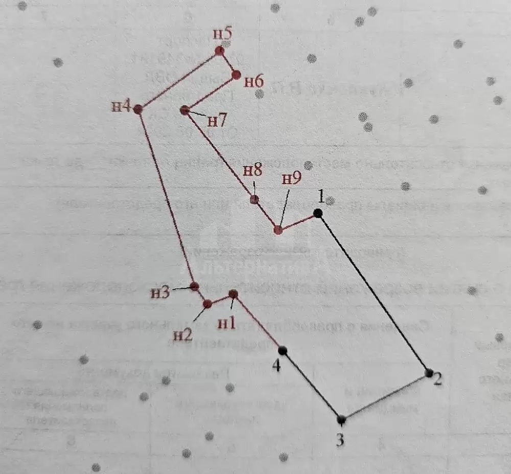 20251009_135635