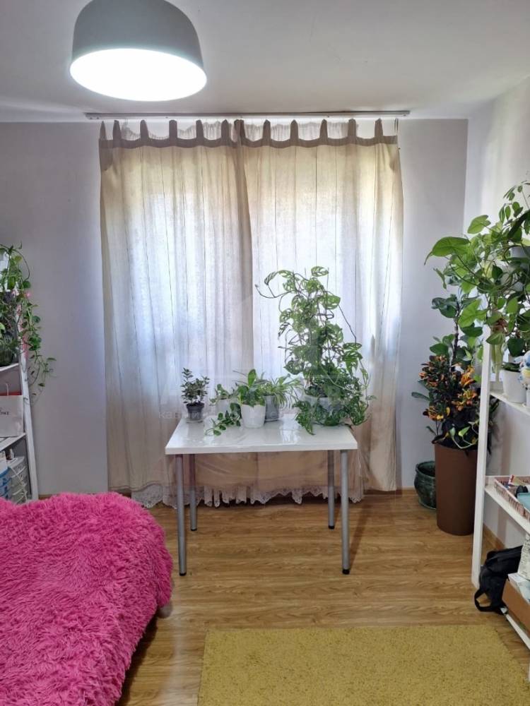 f4d4b669-0342-466e-921f-b2afda9cc9dc