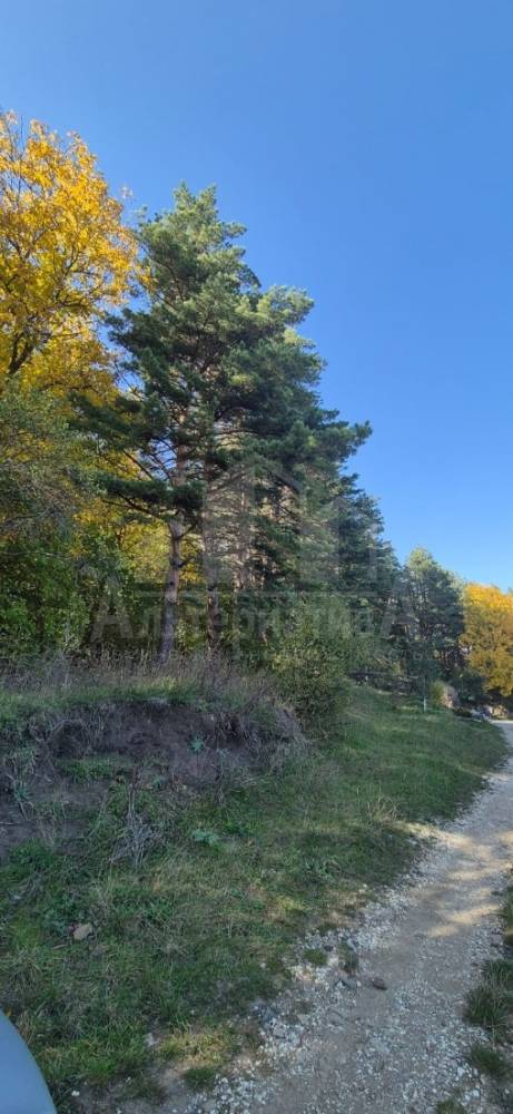 whatsapp image 2025-10-09 at 12.51.42 (3)