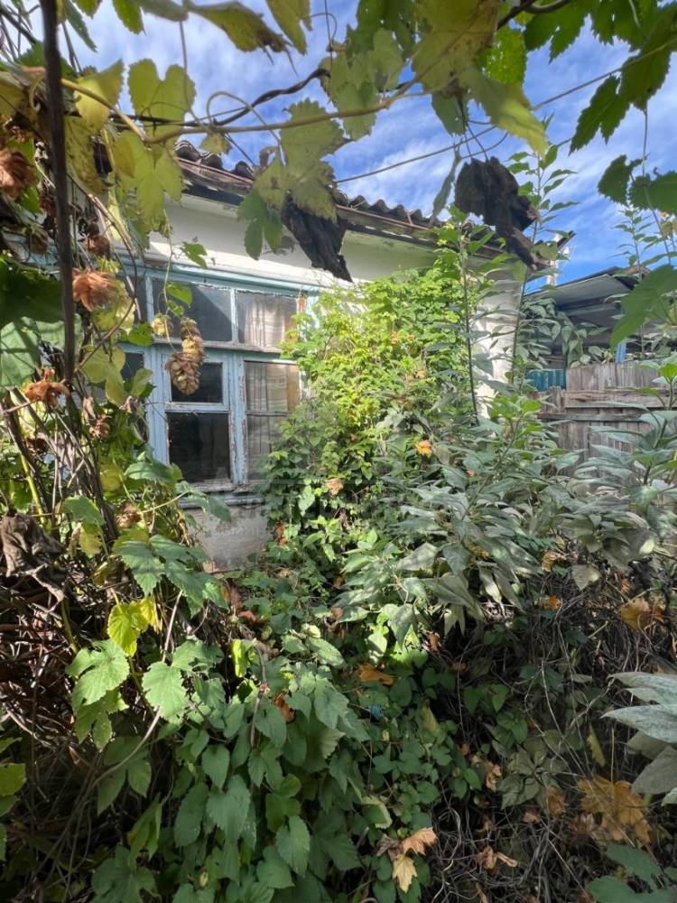 d1da8626-e14c-47b6-a9d5-055a10fd86cf