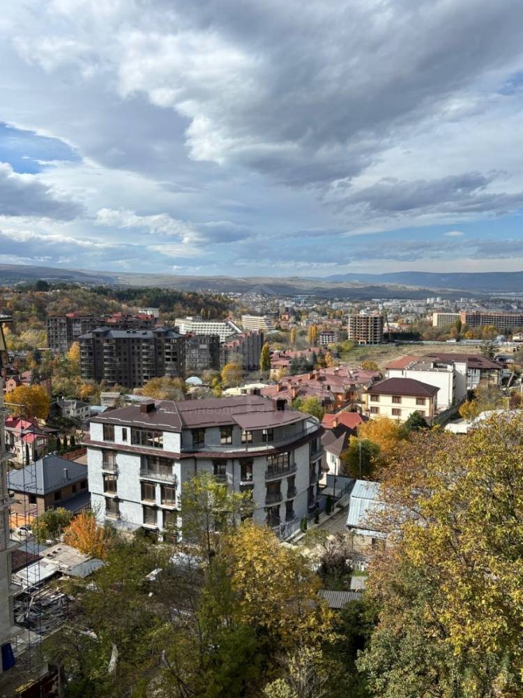 ee5f41d2-3046-48f2-941b-63caf14c41d3