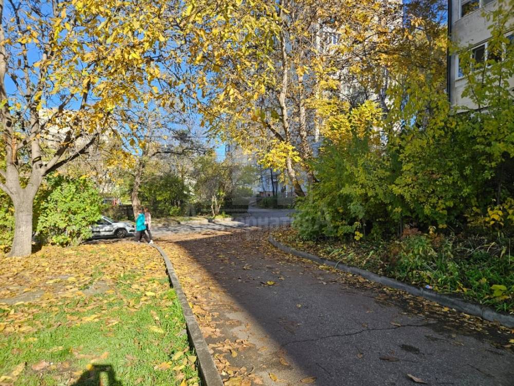 d9836875-3cbd-43ac-9941-ae013d323c79