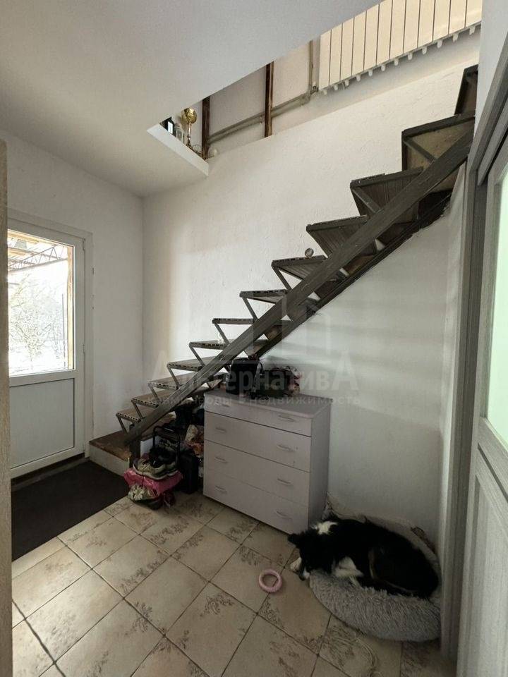 photo_5197411509565785418_y