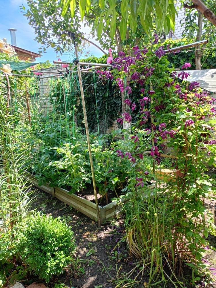 bfa7a491-8455-45b7-a87b-a8d776698af7