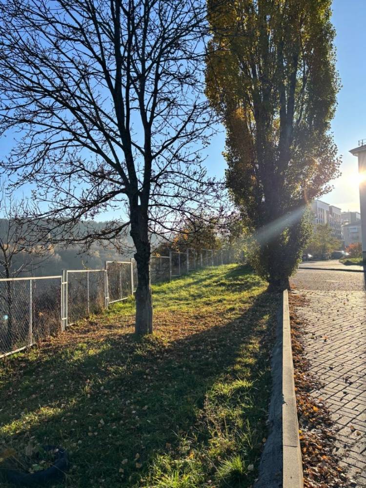 d5e5336a-4ae4-4cdb-9ff9-b8fbdf45a4a3