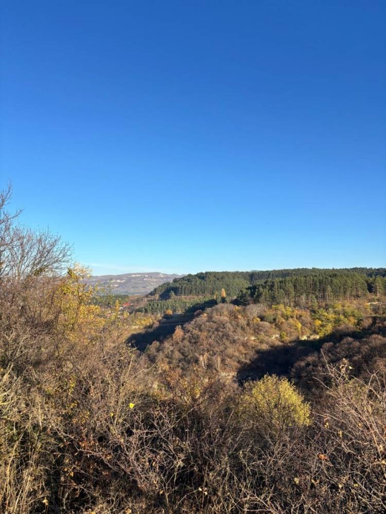 d8644b20-2048-4ebf-b52e-7d8da2ff49a4