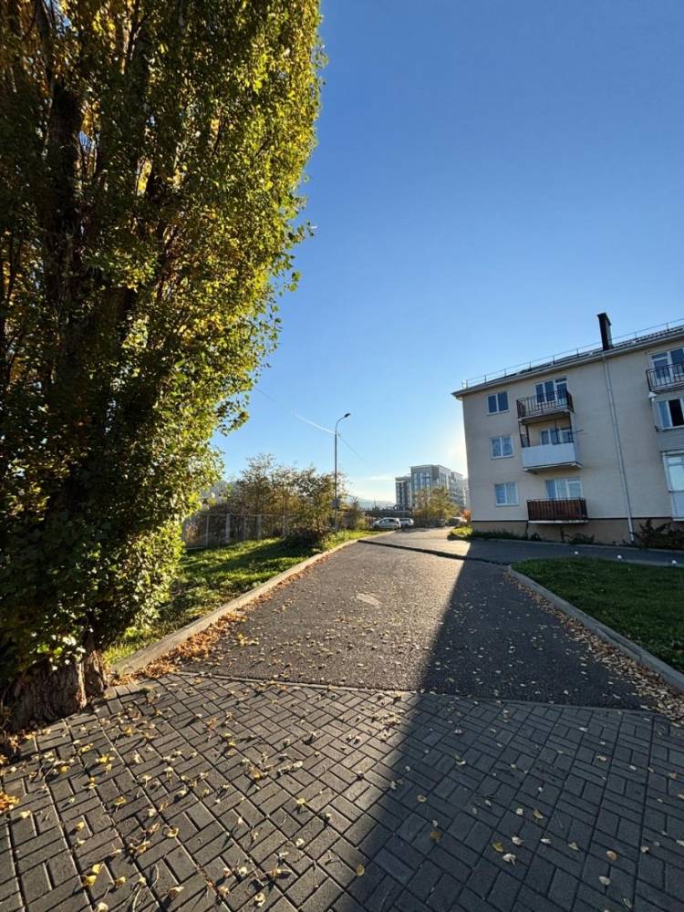 cfe2d72d-7e27-4ad9-97f8-0ce74b406213