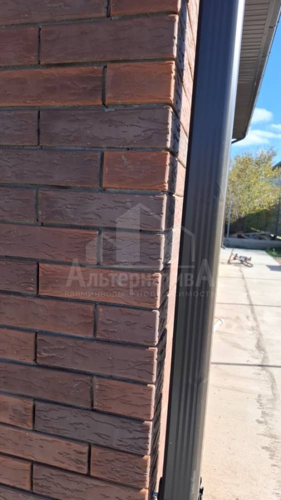 whatsapp image 2025-11-05 at 17.52.14 (1)