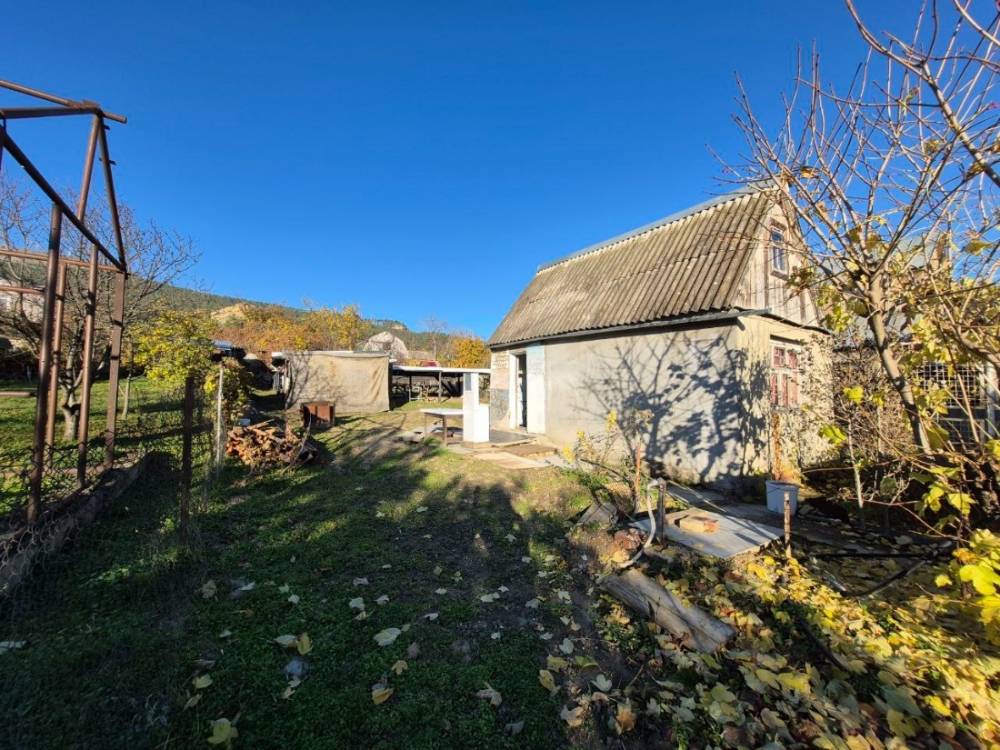 photo_5220225542622219034_y