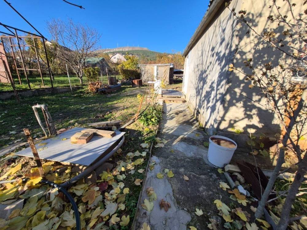 photo_5220225542622219037_y