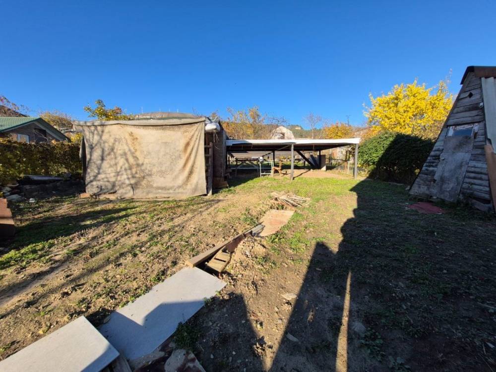 photo_5220225542622219039_y