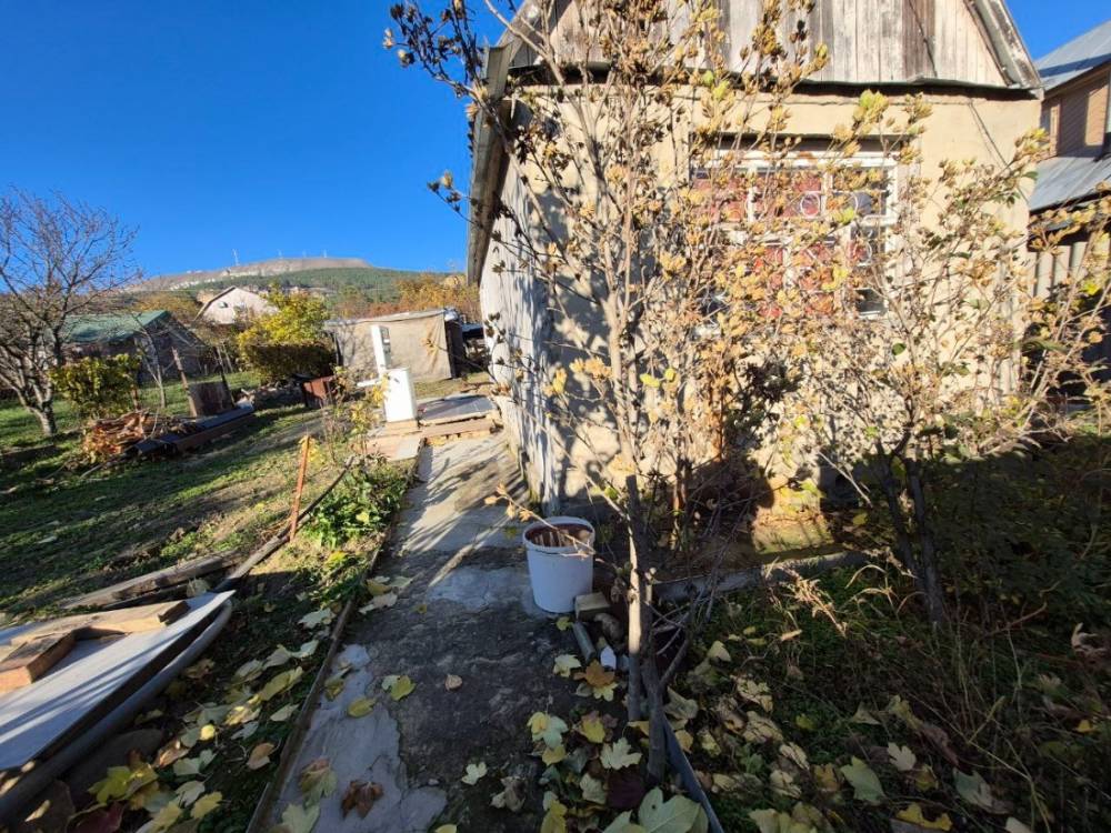 photo_5220225542622219036_y