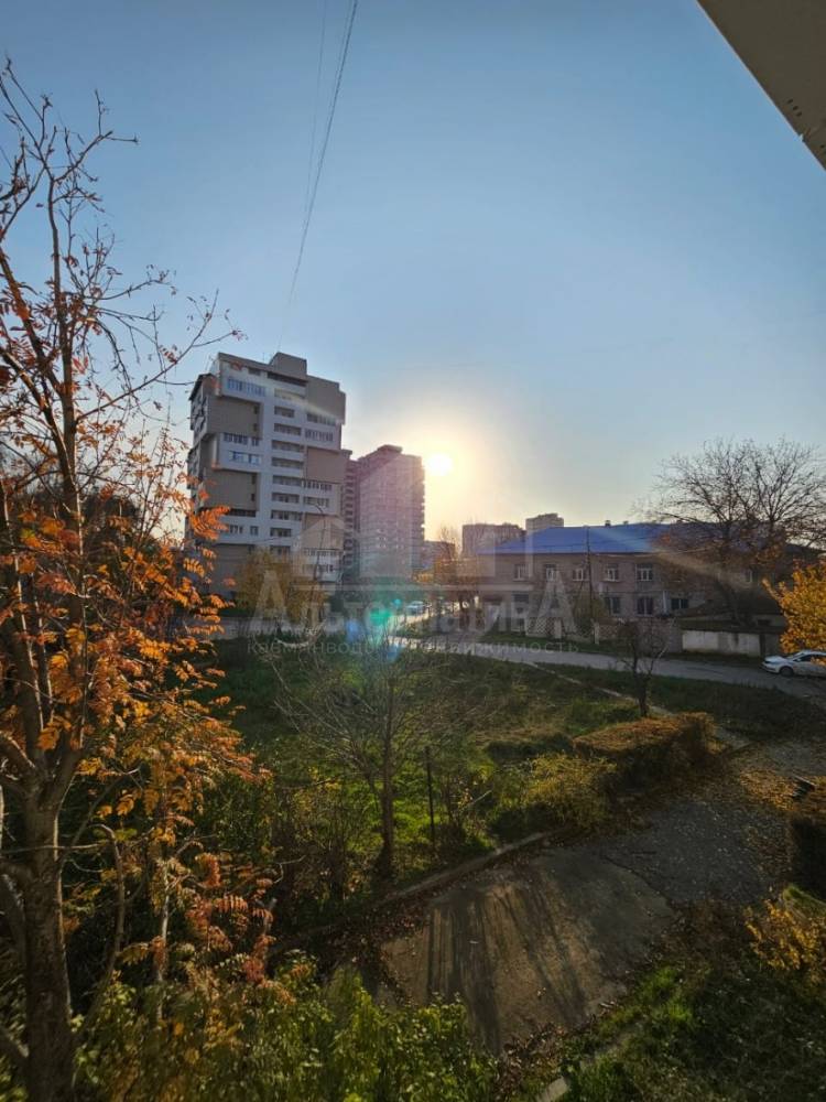 e3411ef2-58d9-4d37-b6d7-0606eb709d26