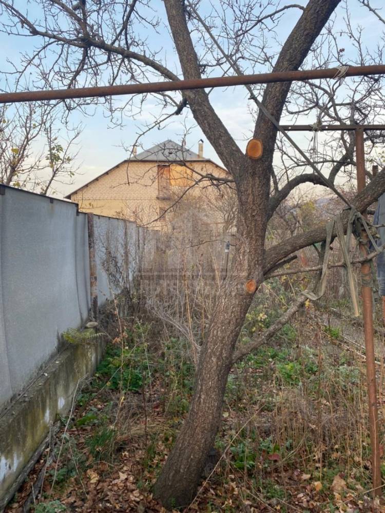 ff6a2ed5-ea12-4b43-b91f-1fab0203e58a