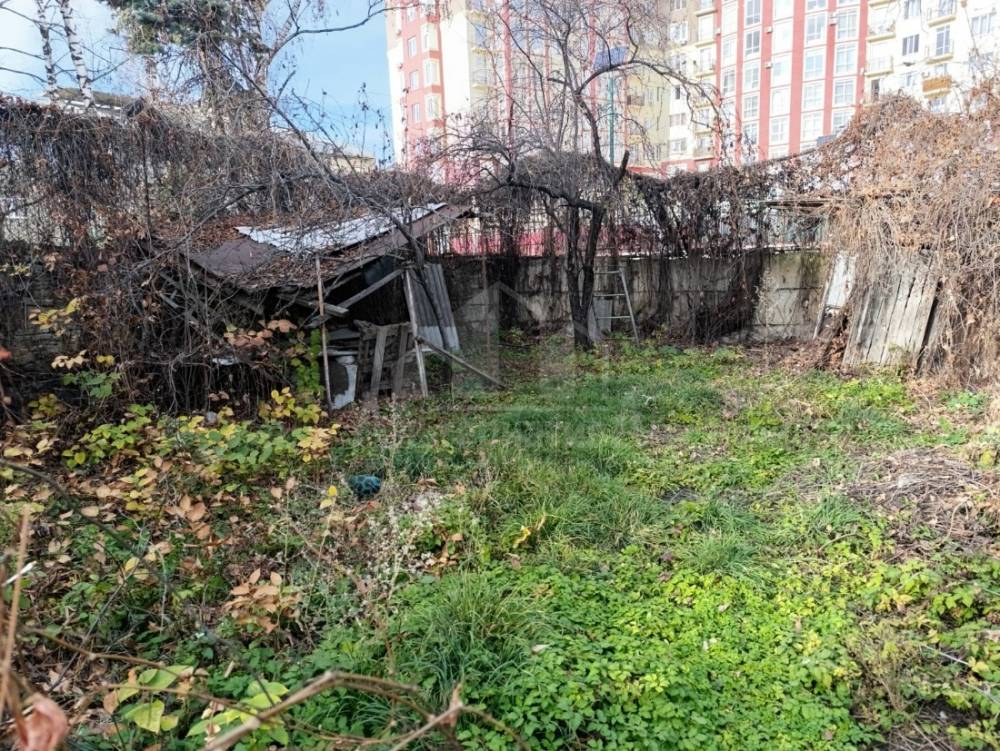 whatsapp image 2025-11-23 at 11.07.37