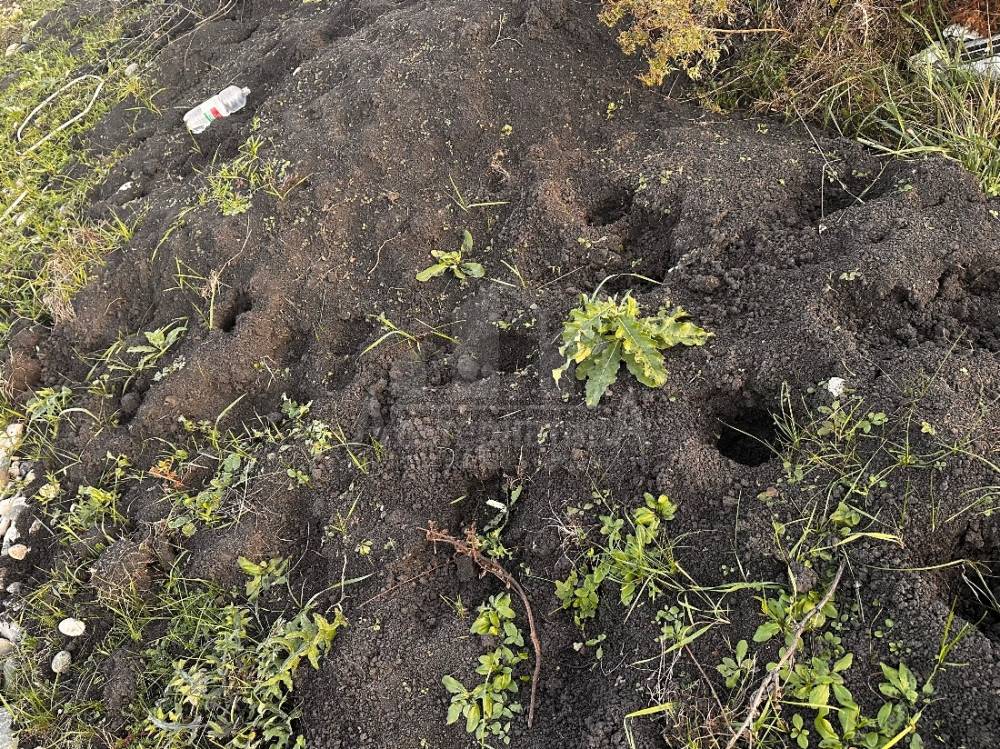 Ставропольский край, Пятигорск, Село Винсады, Подгорная ул.; Участок на участке 11 сот.