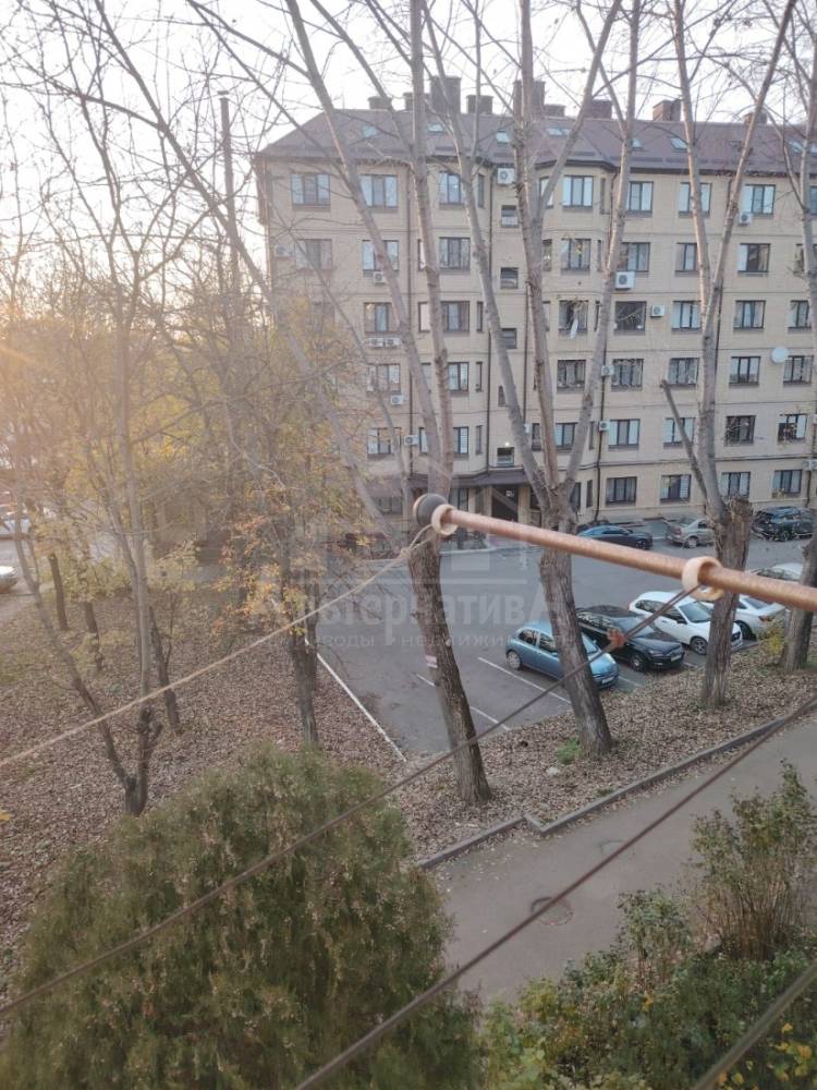 whatsapp image 2025-11-15 at 17.45.26 (3)