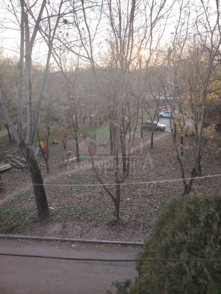 whatsapp image 2025-11-15 at 17.45.27