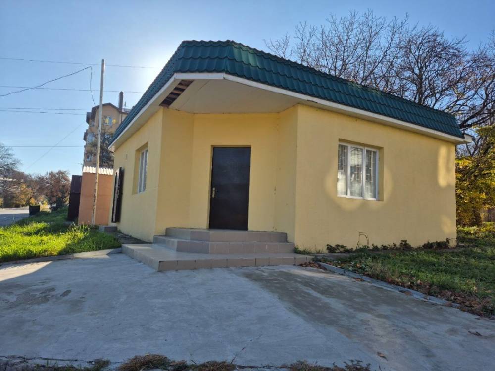 photo_5235567101379022396_y (1)