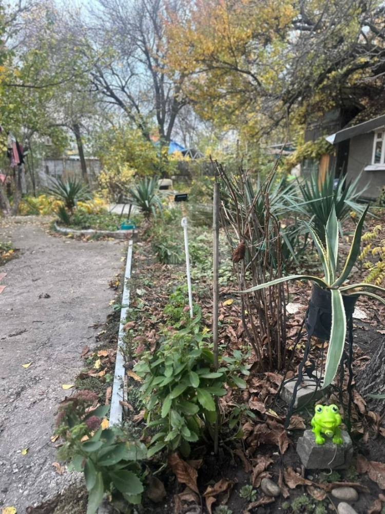 img_20251124_101006_319