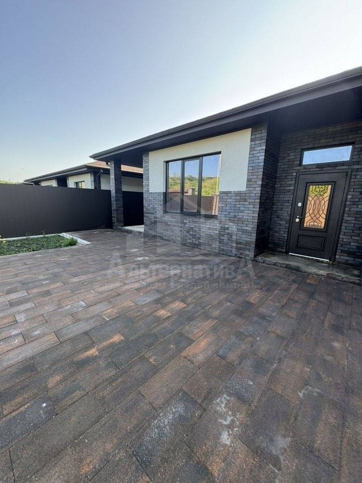 photo_5253619969910575161_y