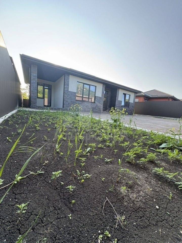 photo_5253619969910575156_y