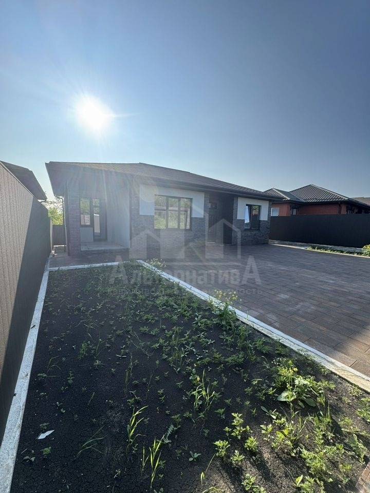 photo_5253619969910575169_y